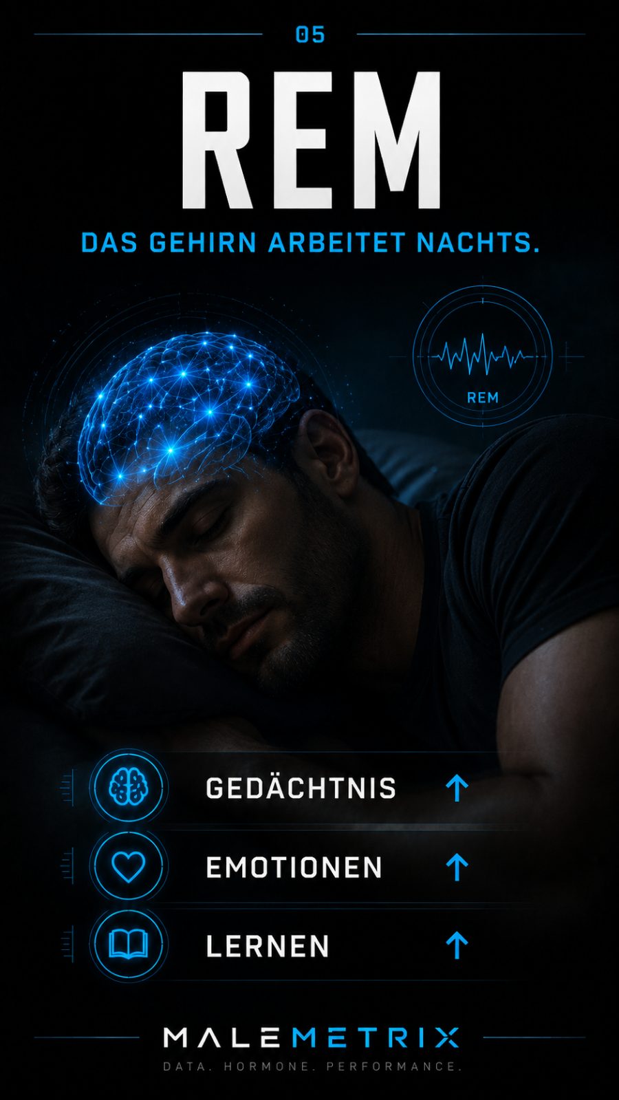 REM-Schlaf: das Gehirn arbeitet nachts an Gedächtnis, Emotionen und Lernen