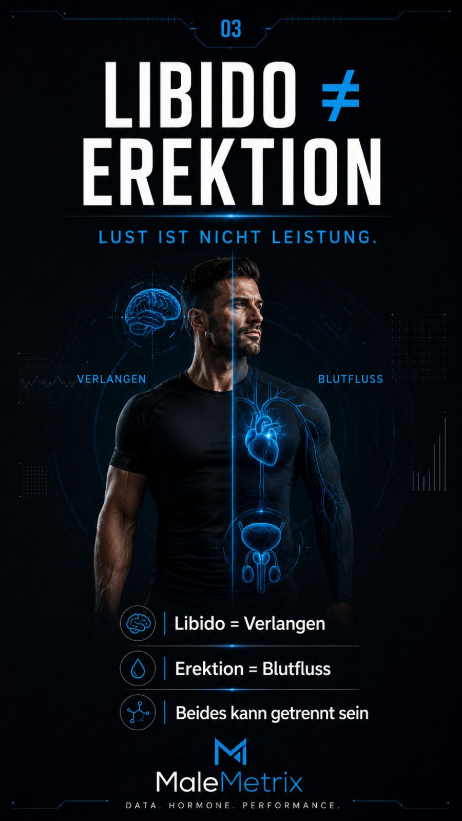 Libido ist nicht gleich Erektion: Verlangen (Kopf) vs. Blutfluss (Hydraulik) — beides kann getrennt sein