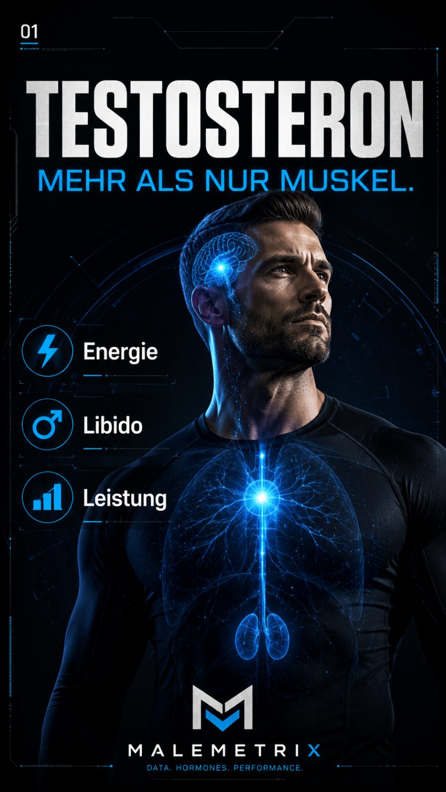 Testosteron — mehr als nur Muskel: Energie, Libido, Leistung