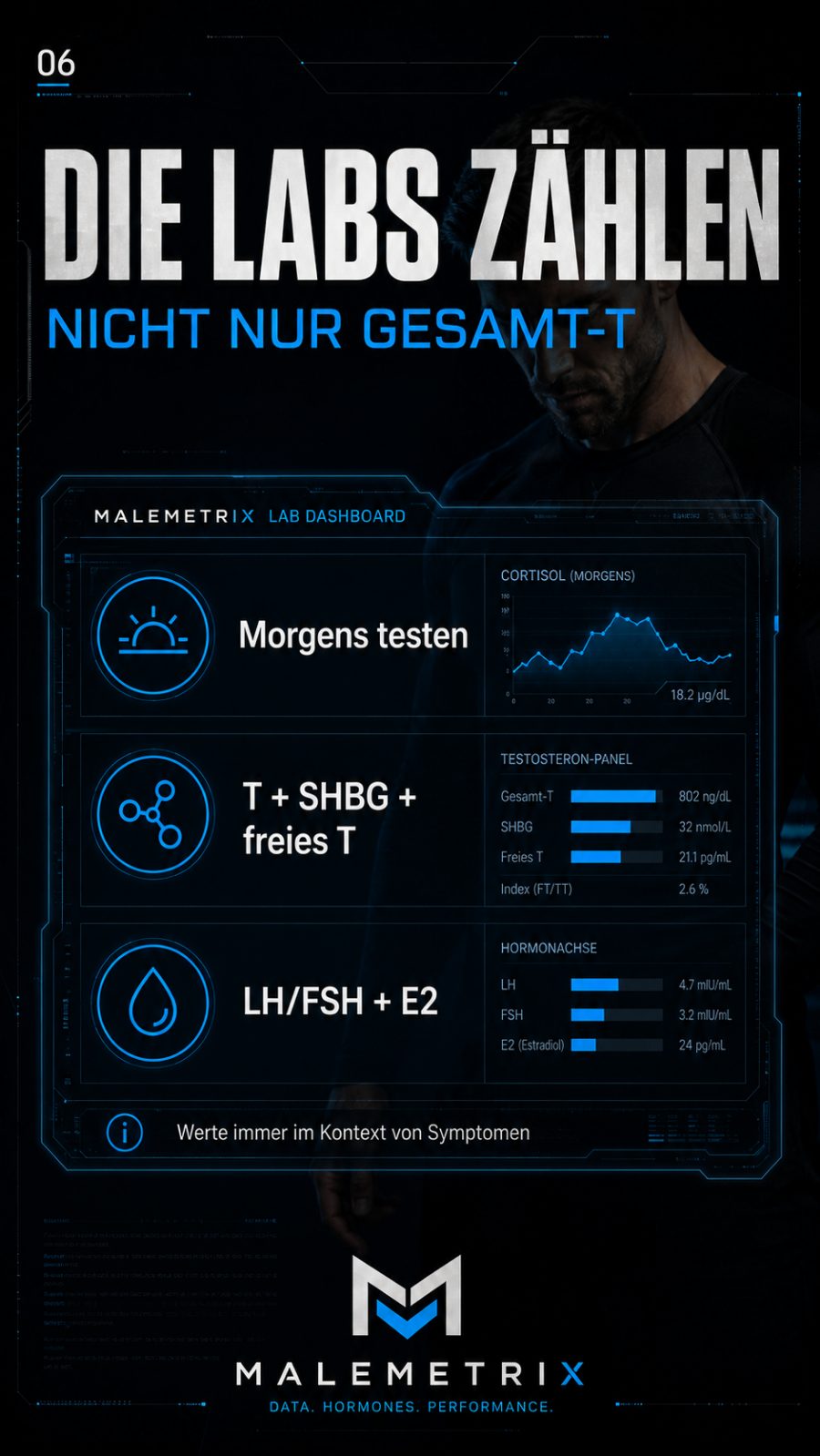 Die Labs zählen — nicht nur Gesamt-T: morgens testen, T + SHBG + freies T, LH/FSH + E2